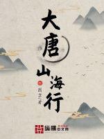 大唐山西新能源
