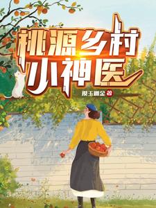 桃源乡村小傻医女主
